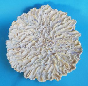 блюдо «хризантема»