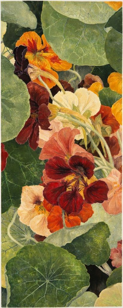 Cressida Campbell