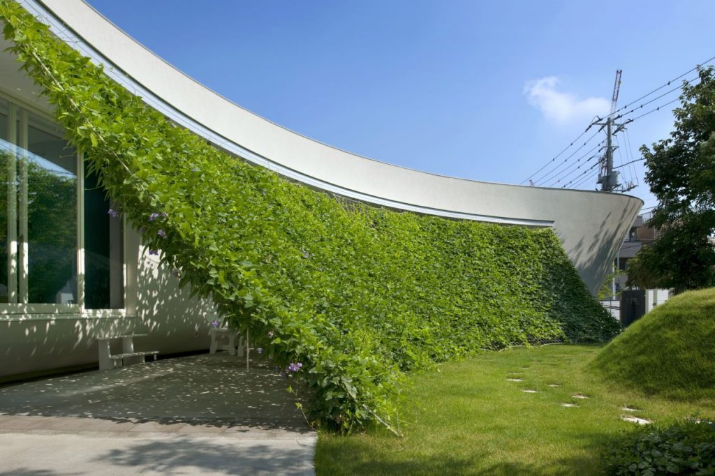 Lovely Green Wall Integrated in The Design of a Japanese Modern Crib