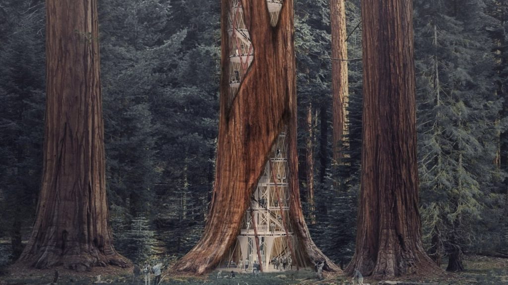 Skyscraper competition proposal involves erecting towers within world's largest trees