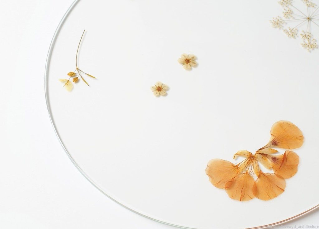 Pressed plants and colourful petals are frozen within these glass plates by German designer Meike Harde.