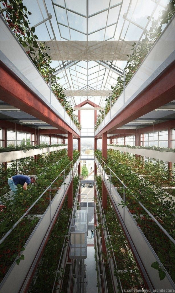 ilimelgo's vertical farm introduces urban agriculture in grand paris