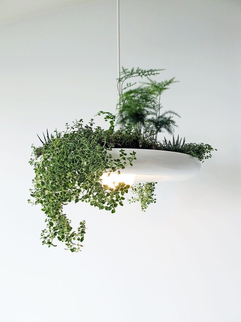 The Babylon Plantable Light Fixture by Ryan Taylors