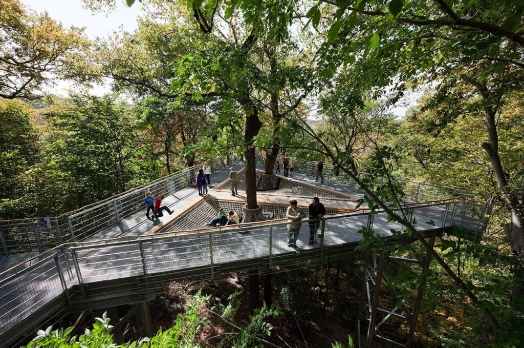Morris Arboretum, Out on a Limb by Metcalfe Architecture