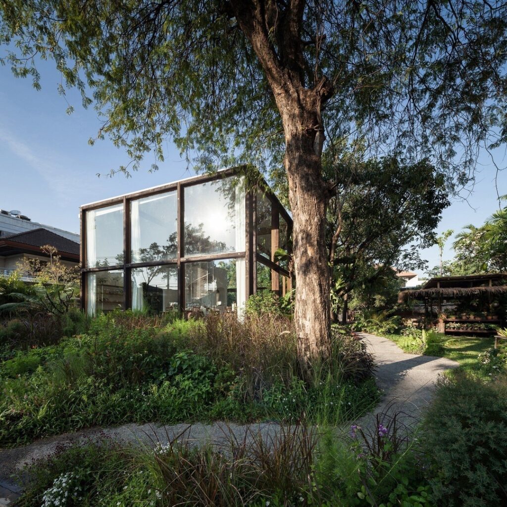 Gridded glazing frames garden views from NitaProw's organic beauty shop in Bangkok