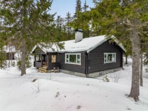 Загородный дом в Швеции