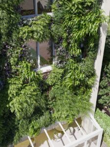 Сборник растений Plant Models 13.