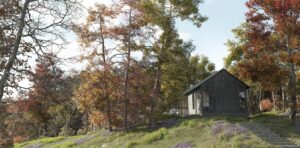 Сборник деревьев Plant Models 17.