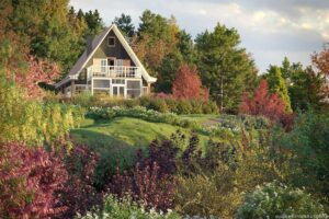 5 сборников растений от Maxtree.