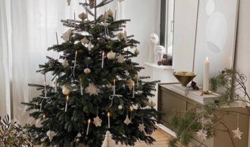 ✨Наслаждайтесь новым зимним сезоном!