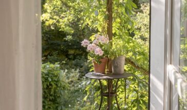 🍃✨Эстетика наступившего лета в прекрасных деталях… 🌷