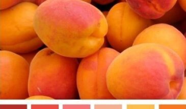 Цвета хамелеона | Палитра цветов.