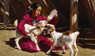 Художник Alfredo Rodriguez.