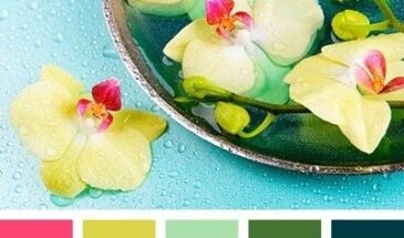 Цвета хамелеона | Палитра цветов.