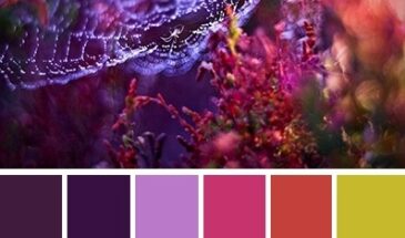 Цвета хамелеона | Палитра цветов.