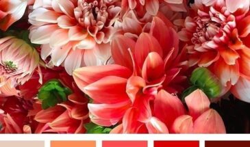 Цвета хамелеона | Палитра цветов.