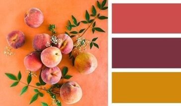 Цвета хамелеона | Палитра цветов.