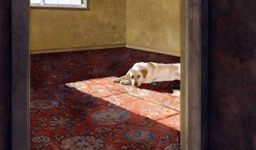 Художница Сьюллен Росс (Suellen Ross)