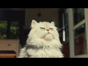 McDonalds создал коллекцию игрушек для собак