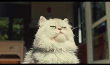 McDonalds создал коллекцию игрушек для собак