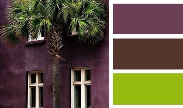 Цвета хамелеона | Палитра цветов.