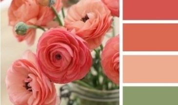 Цвета хамелеона | Палитра цветов.