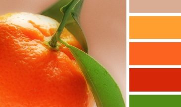 Цвета хамелеона | Палитра цветов.