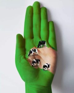 Креативная художница Гольса Гольчини (Golsa Golchini) использует собственную руку как холст для забавных работ. Креативная художница Гольса Гольчини (Golsa Golchini) использует собственную руку как холст для забавных работ.