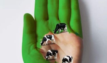 Креативная художница Гольса Гольчини (Golsa Golchini) использует собственную руку как холст для забавных работ.