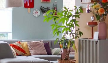 Интерьеры из Нидерландов — это какой-то особый мир цвета и необычного декора! Я узнаю их из тысячи.