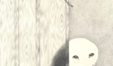 Художницу из Сан-Франциско Наоми Хоксли (Naomi Hawksley) привлекают «игривые, непредсказуемые композиции», а также определенная деликатность, которая «отражает ценности терпения, честности и доброты в создании образов».