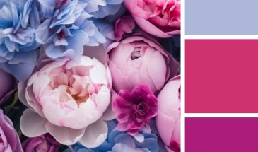 Цвета хамелеона | Палитра цветов.