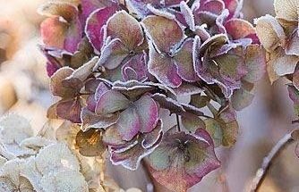 Серые и светлые оттенки розового  это мягкая, классическая гамма, наполненная романтичными настроениями и лёгкостью. Дополнить палитру можно белым, голубым, бежевым, коричневым или сиреневым.