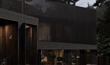 Экстерьер частного дома в темных тонах