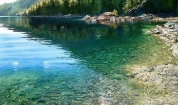 Удивительные акварели Carol Evans