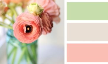 Цвета хамелеона | Палитра цветов.