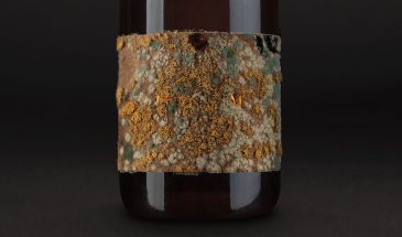 Cтудия Sonda разработала дизайн упаковки для органического вина Piquentum Brut Nature