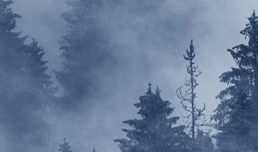 Цвет голубиного крыла  это серо-синий тон, который выглядит мистически и абстрактно. Такой оттенок, сложный и благородный, имеет винтажный характер, а также хорош как деловой тон. Он олицетворяет манящую даль и неизвестность.