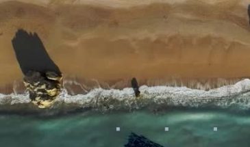 Easy Comp -платный AE Script