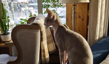 Наш уютный загородный дом, где многое сделано своими руками, как, например, этот шкаф в холле первого этажа  ylissadesign