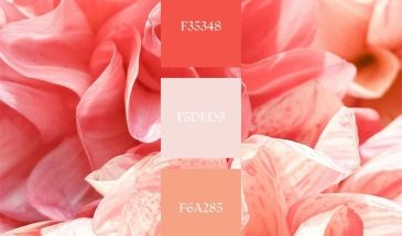 Цвета хамелеона | Палитра цветов.