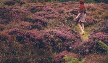 Зелёные и вересковые оттенки  это красивая, насыщенная гамма, которая отображает буйство жизни и начало чего-то нового. Дополнить палитру можно серым, голубым, бледно-жёлтым.