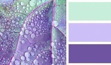 Цвета хамелеона | Палитра цветов.