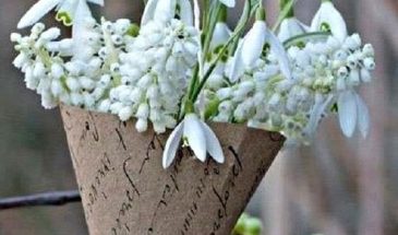 Серо-коричневые оттенки, зеленая и белая гамма  это сочетание свежее и сырое, наполненное лесными ароматами и природными мотивами. Дополнить палитру можно бежевым, бледно-желтым.