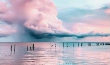 Цвета хамелеона | Палитра цветов.