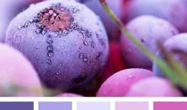 Цвета хамелеона | Палитра цветов.