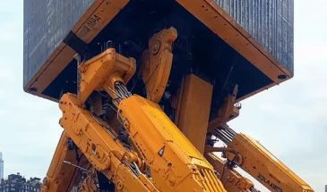 Author: architectcha