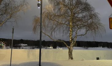 Проектор на страже дорожной безопасности