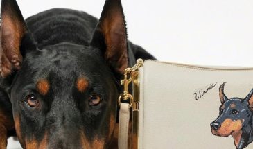 Marc Jacobs возвращает коллекцию сумок для животных с портретами питомцев