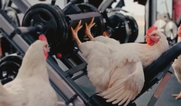 Легендарный футболист Роберто Карлос стал тренером куриных ножек KFC
